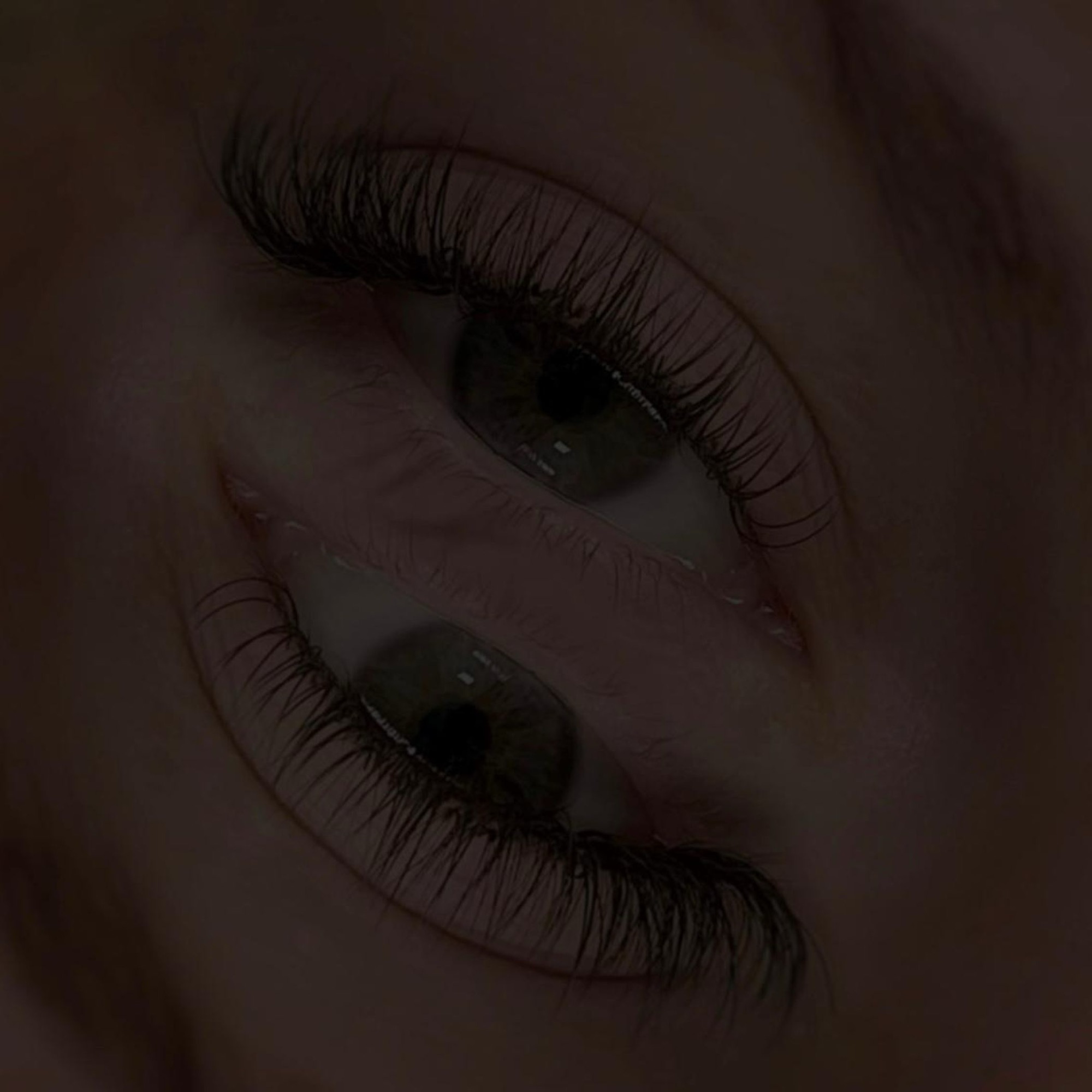 Perfektion für Wimpern und Augenbrauen